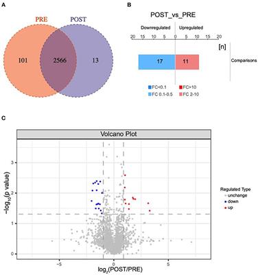 Differences in Vitreous Protein Profiles in Patients With Proliferative Diabetic Retinopathy Before and After Ranibizumab Treatment